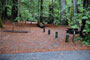 Portola Redwoods SP 012