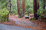 Portola Redwoods SP 021