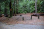 Portola Redwoods SP 022