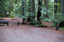 Portola Redwoods SP 026