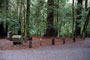 Portola Redwoods SP 027