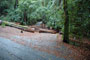 Portola Redwoods SP 048