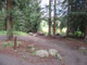 Spruce Grove 002