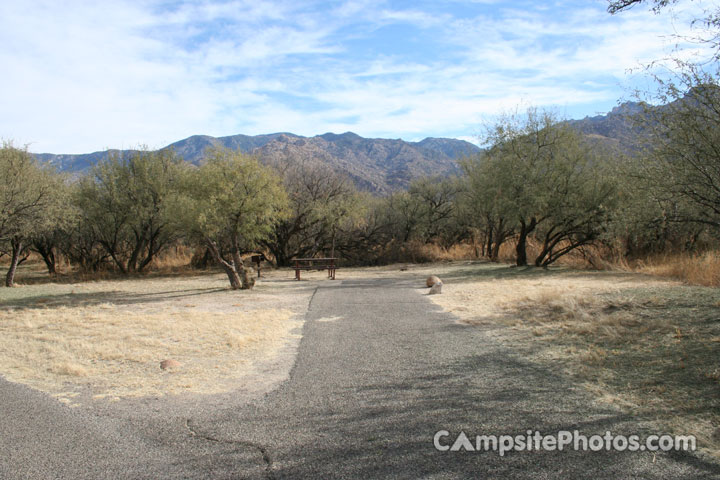 Catalina State Park A 013