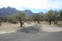 Catalina State Park A 003