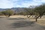 Catalina State Park A 005