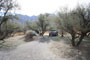 Catalina State Park A 019