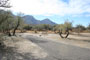 Catalina State Park A 021