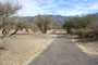 Catalina State Park A 022