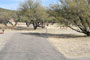 Catalina State Park A 042