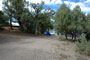 Heron Lake Brushy Point 070