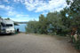 Heron Lake Brushy Point 097