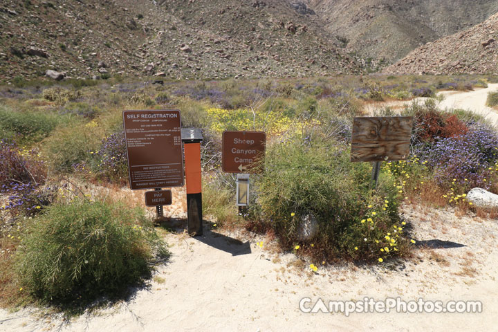 Sheep Canyon Sign