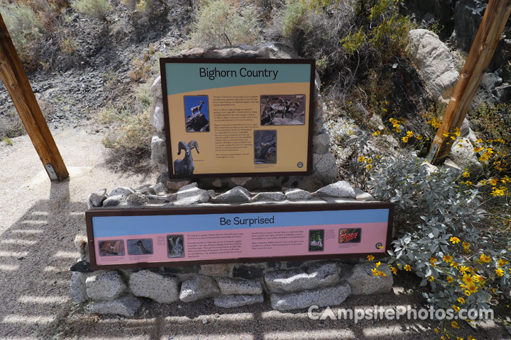 Bow Willow Campground Bighorn Country Sign