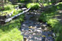 Wheeler Peak Stream