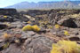 Fossil Falls View