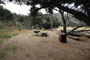 Malibu Creek State Park Group Camping Area View 4