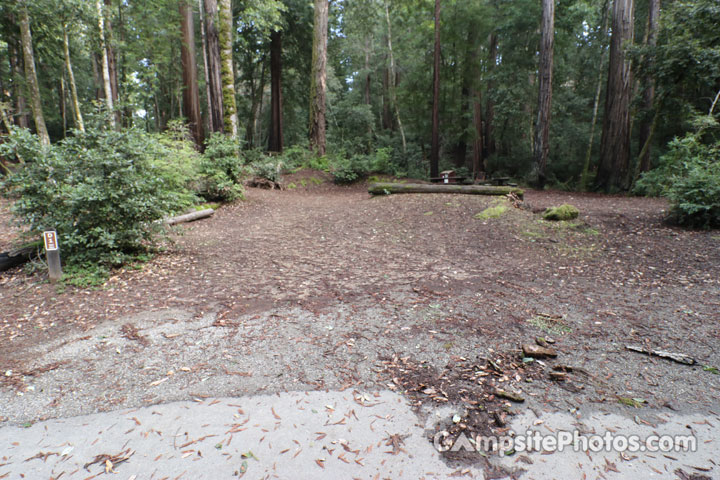 Memorial Park Sequoia Flat D001