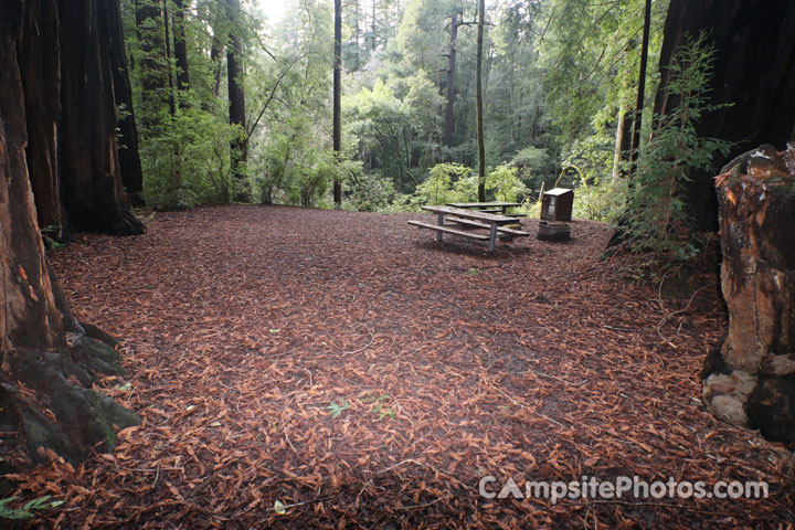 Memorial Park Sequoia Flat D004