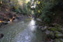 Memorial Park Pescadero Creek
