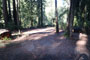 Memorial Park Sequoia Flat A008