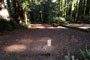 Memorial Park Sequoia Flat A009