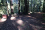 Memorial Park Sequoia Flat A012
