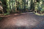 Memorial Park Sequoia Flat A015