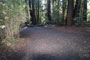 Memorial Park Sequoia Flat A017
