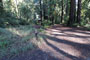 Memorial Park Sequoia Flat B001