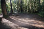 Memorial Park Sequoia Flat B013