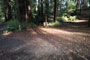 Memorial Park Sequoia Flat C002