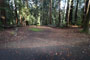 Memorial Park Sequoia Flat C011