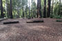 Memorial Park Sequoia Flat C012