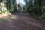Memorial Park Sequoia Flat C013