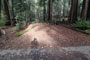 Memorial Park Sequoia Flat D010