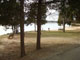 Lake Anna shady view