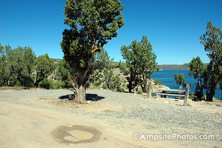 Navajo Lake SP Cedar 113