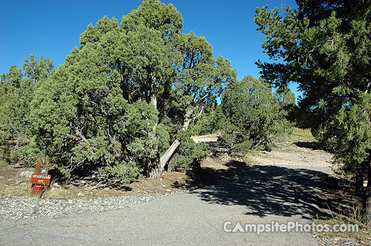 Navajo Lake SP Pine 007