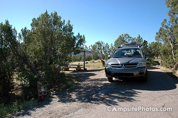 Navajo Lake SP Pine 013