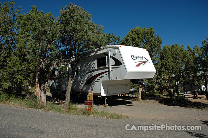 Navajo Lake SP Pine 014