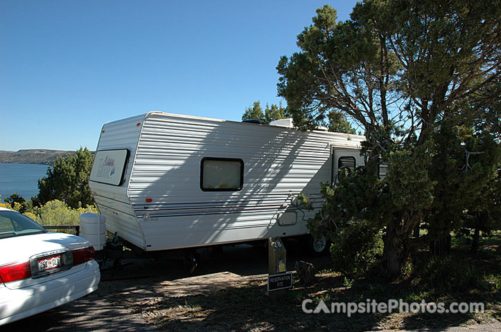 Navajo Lake SP Pine 028