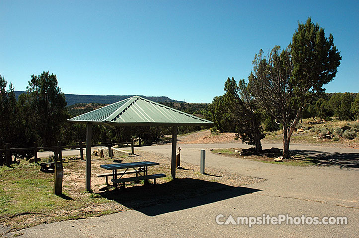 Navajo Lake SP Pine 063