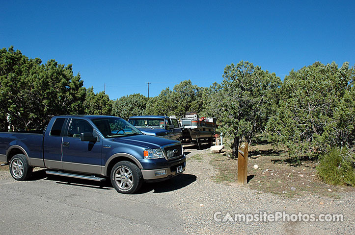 Navajo Lake SP Pine 072