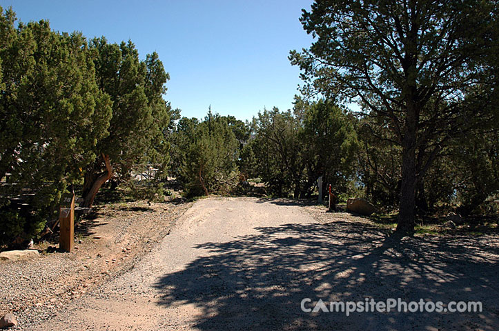 Navajo Lake SP Pine 078