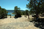 Navajo Lake SP Cedar 110