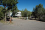 Navajo Lake SP Pine 009