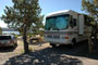 Navajo Lake SP Pine 012