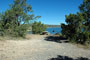 Navajo Lake SP Pine 038