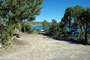 Navajo Lake SP Pine 040